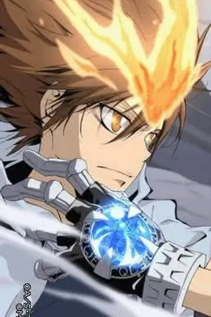 ปกนิยาย [Fic KHR OC]นภาต่างมิติ