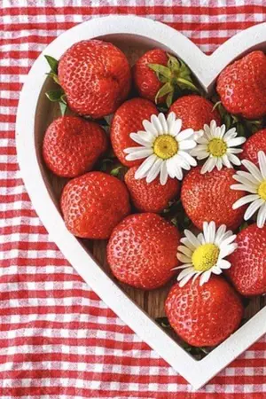 ปกนิยาย ได้แค่.. ฝัน!