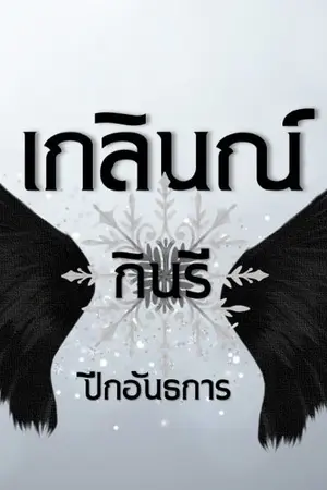 ปกนิยาย