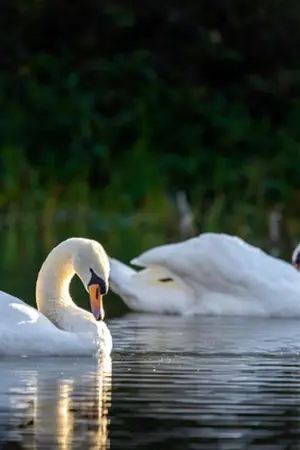 ปกนิยาย ข้านี่แหละนางเอกของเรื่องนี้