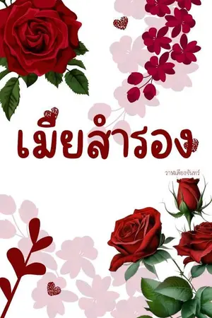 ปกนิยาย เมียสำรองรัก มี E-book