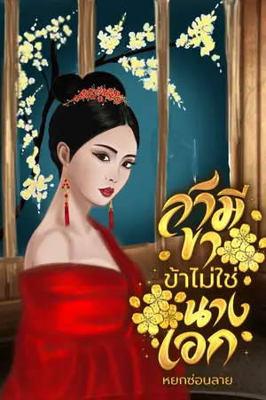 ปกนิยาย สามีขา ข้าไม่ใช่นางเอก