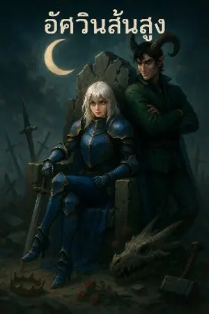 ปกนิยาย อัศวินส้นสูง