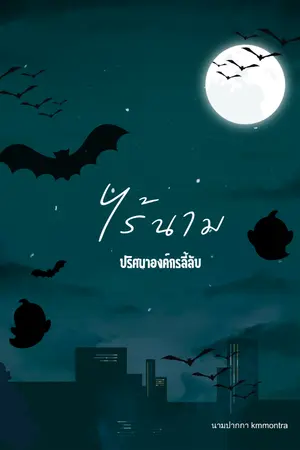 ปกนิยาย ไร้นาม ปริศนาองค์กรลี้ลับ