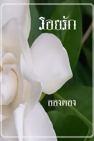 ปกนิยาย รอยรัก