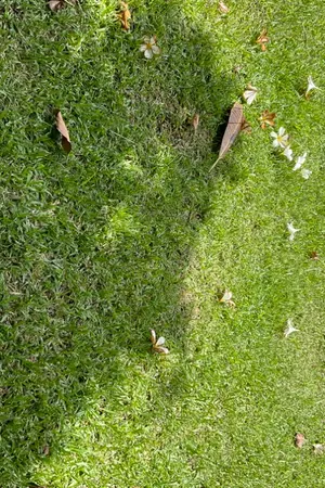 ปกนิยาย เธอคือจินตนาการที่ดีที่สุด