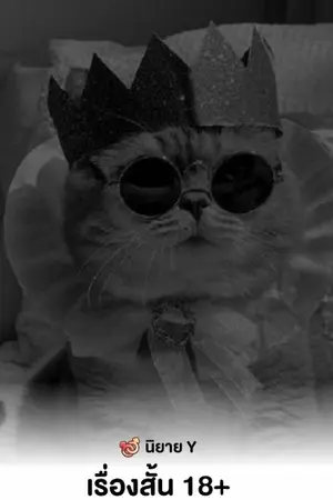 ปกนิยาย เรื่องสั้น 18+