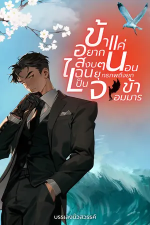 ปกนิยาย ข้าแค่อยากนอนสงบๆ ไฉนยุทธภพถึงยกข้าเป็นจอมมาร!