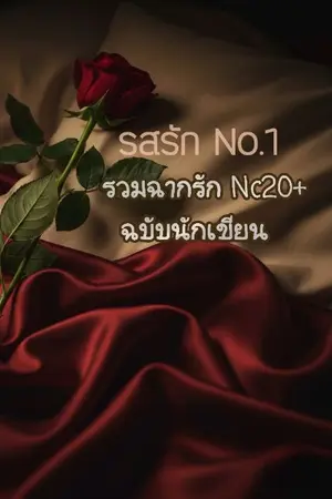 ปกนิยาย รสรัก No.1