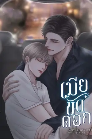 ปกนิยาย เมียขัดดอก Mpreg