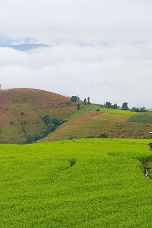 ปกนิยาย ณ ที่สายลมรักพัดมา