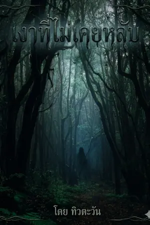 ปกนิยาย เงาที่ไม่เคยหลับ