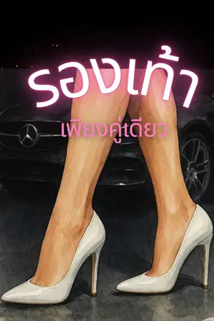 ปกนิยาย รองเท้าเพียงคู่เดียว