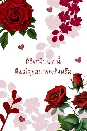 ปกนิยาย ชีวิตนับแต่นี้มีแต่สุขสบายจริงหรื