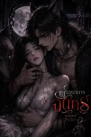 ปกนิยาย
