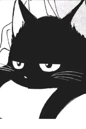 ปกนิยาย Haikyuu | แมวหลงถิ่น (yaoi)