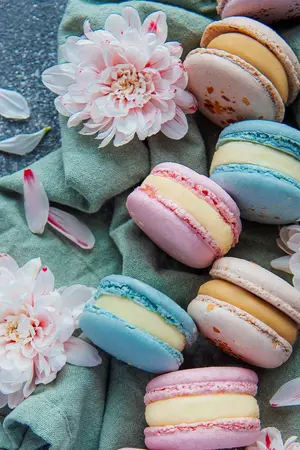 ปกนิยาย ขอโทษครับรุ่นพี่ ที่ผมน่ารัก