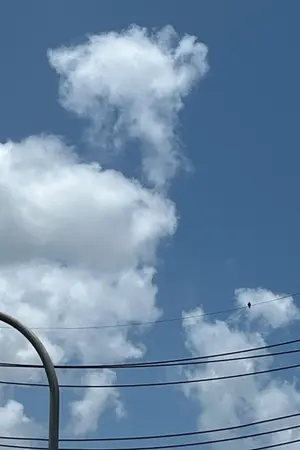 ปกนิยาย กับดักรัก นักเรียนตัวร้าย