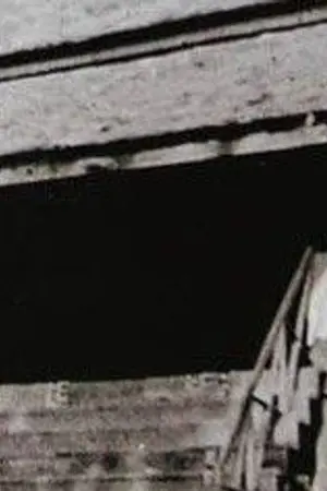 ปกนิยาย COUNTDIE