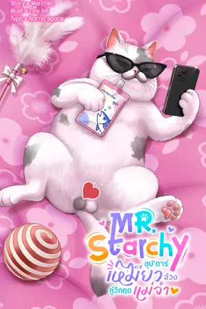 ปกนิยาย MR.Starchy ซุป'ตาร์เหมียวอ้วงกู้วิกฤตแม่จ๋า