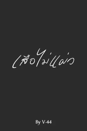 ปกนิยาย