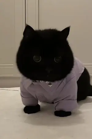 ปกนิยาย วิฬารนำพา ภาค ปฐมบท