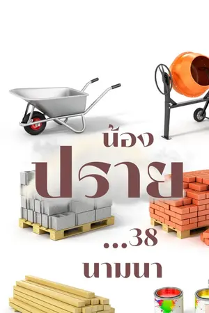ปกนิยาย น้องปราย...38