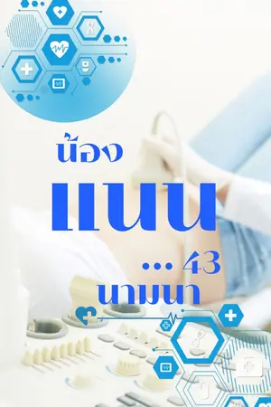 ปกนิยาย น้องแนน...43