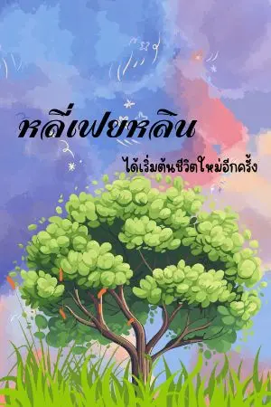ปกนิยาย หลี่เฟยหลิน ได้เริ่มต้นชีวิตใหม่อีกครั้ง