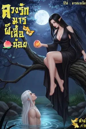 ปกนิยาย ลวงรักมารผีเสื้อน้อย