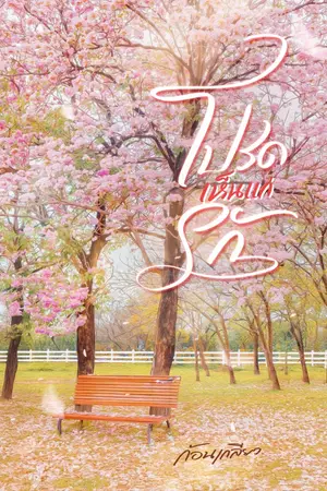 ปกนิยาย โปรดเห็นแก่รัก (มี E-Book)