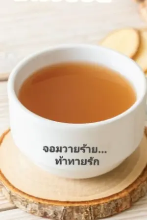 ปกนิยาย จอมวายร้ายท้าทายรัก