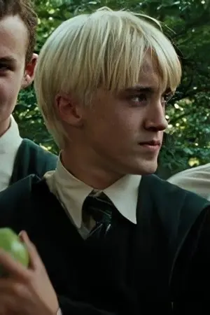 ปกนิยาย [Fic Harry Potter] Stop bugging me, Mr. Malfoy. (Draco x oc)