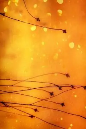 ปกนิยาย 블루원더랜드굴발렌타인앨리스  하나  둘 하나 셋 0.34