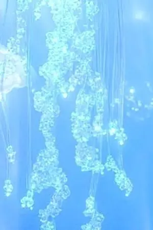 ปกนิยาย Please, love. [Blue Lock]