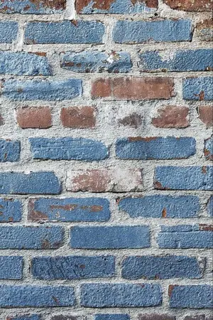 ปกนิยาย Moon of the walls  เดือนหยดกำแพง