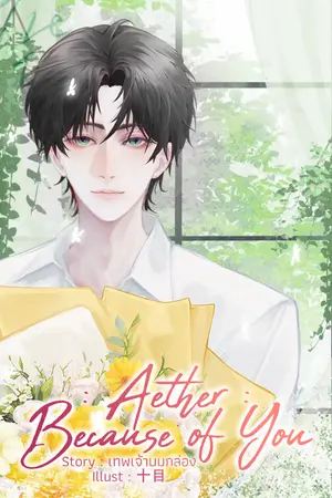 ปกนิยาย Aether : Because of You (มีอีบุ๊ค)