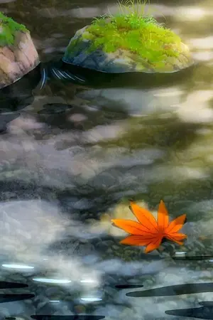 ปกนิยาย Kuroko no basket | พบเจอ ไม่พบรัก (BL)