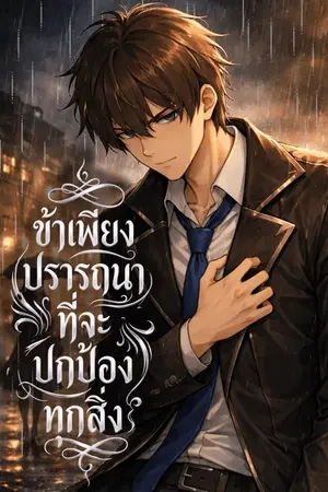 ปกนิยาย ข้าเพียงปรารถนาที่จะปกป้องทุกสิ่ง