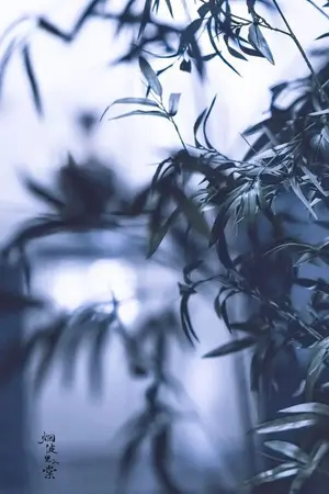 ปกนิยาย .conan. เมื่ออดีต CIA เกิดใหม่ (oc)