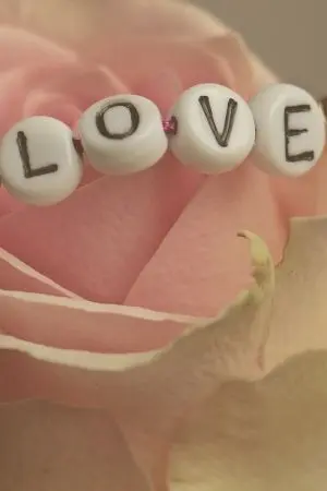 ปกนิยาย เล่ห์รักมาเฟีย (Crazy Love)