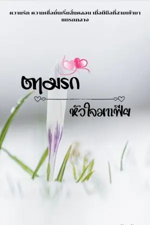 ปกนิยาย ตามรัก หัวใจมาเฟีย