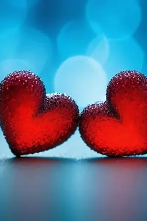 ปกนิยาย วันวาเลนไทน์ปีนี้กับเพื่อนสาวซึนเดเระ