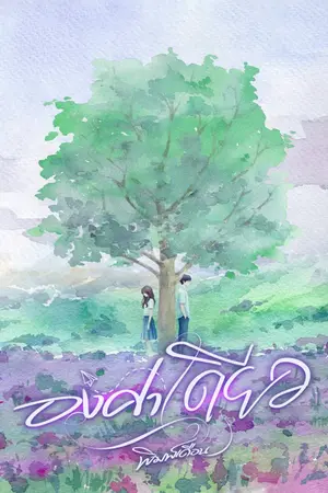 ปกนิยาย องศา(เดียว)