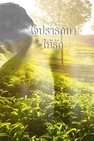 ปกนิยาย ใจปรารถนาให้รัก