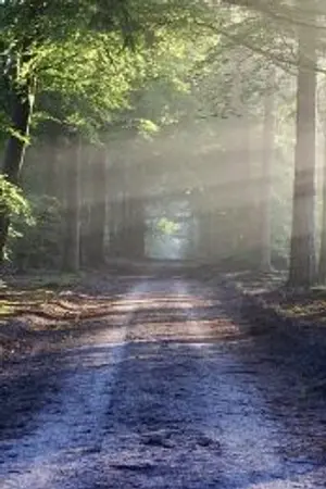 ปกนิยาย ระบบเปลี่ยนนางร้ายให้กลายเป็นที่รัก