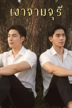 ปกนิยาย เงาจามจุรี