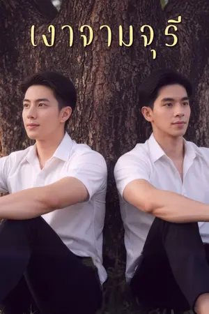 ปกนิยาย เงาจามจุรี