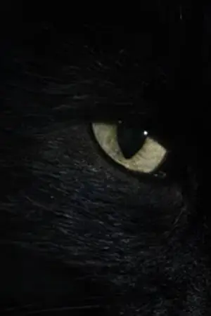 ปกนิยาย ลุคก้าเวว มหัศจรรย์โรงเรียนมหาเวท (รีไรท์)