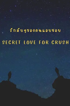 ปกนิยาย รักลับๆของคนแอบรัก